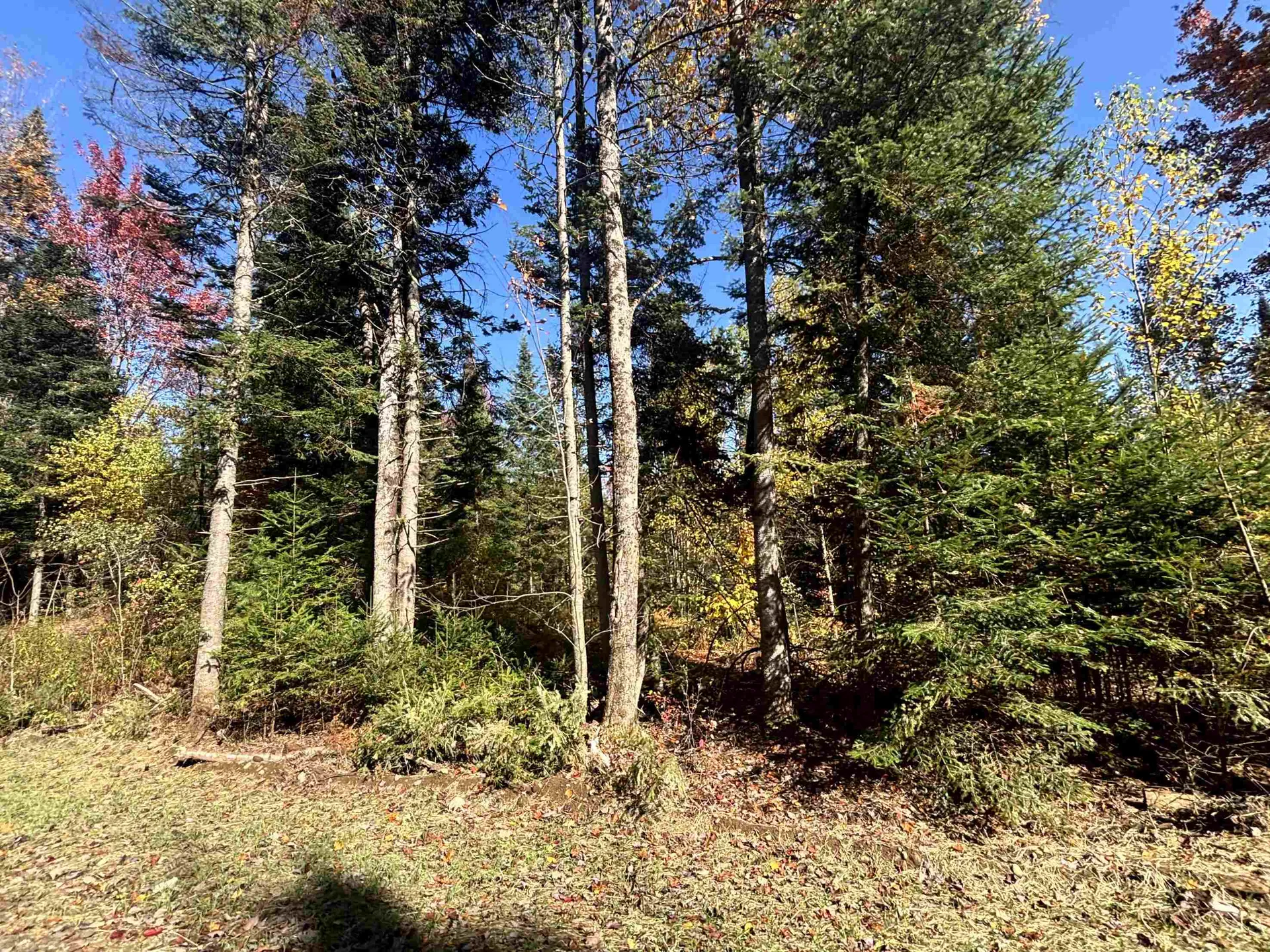 0 Atwood Road Brighton VT 05846