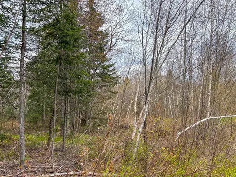 0 Atwood Road Brighton VT 05846