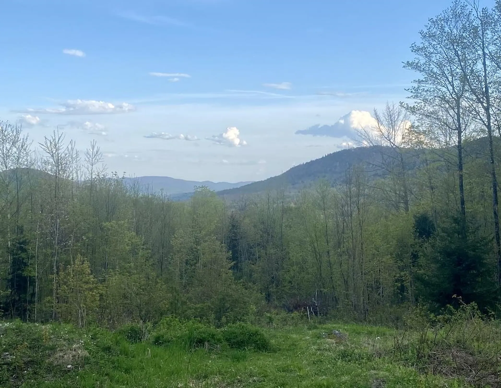 00 Charlie Wilson Road Bethel VT 05032