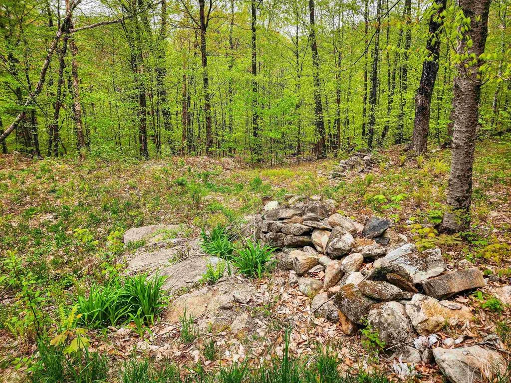 174 Shirley Circle Townshend VT 05353