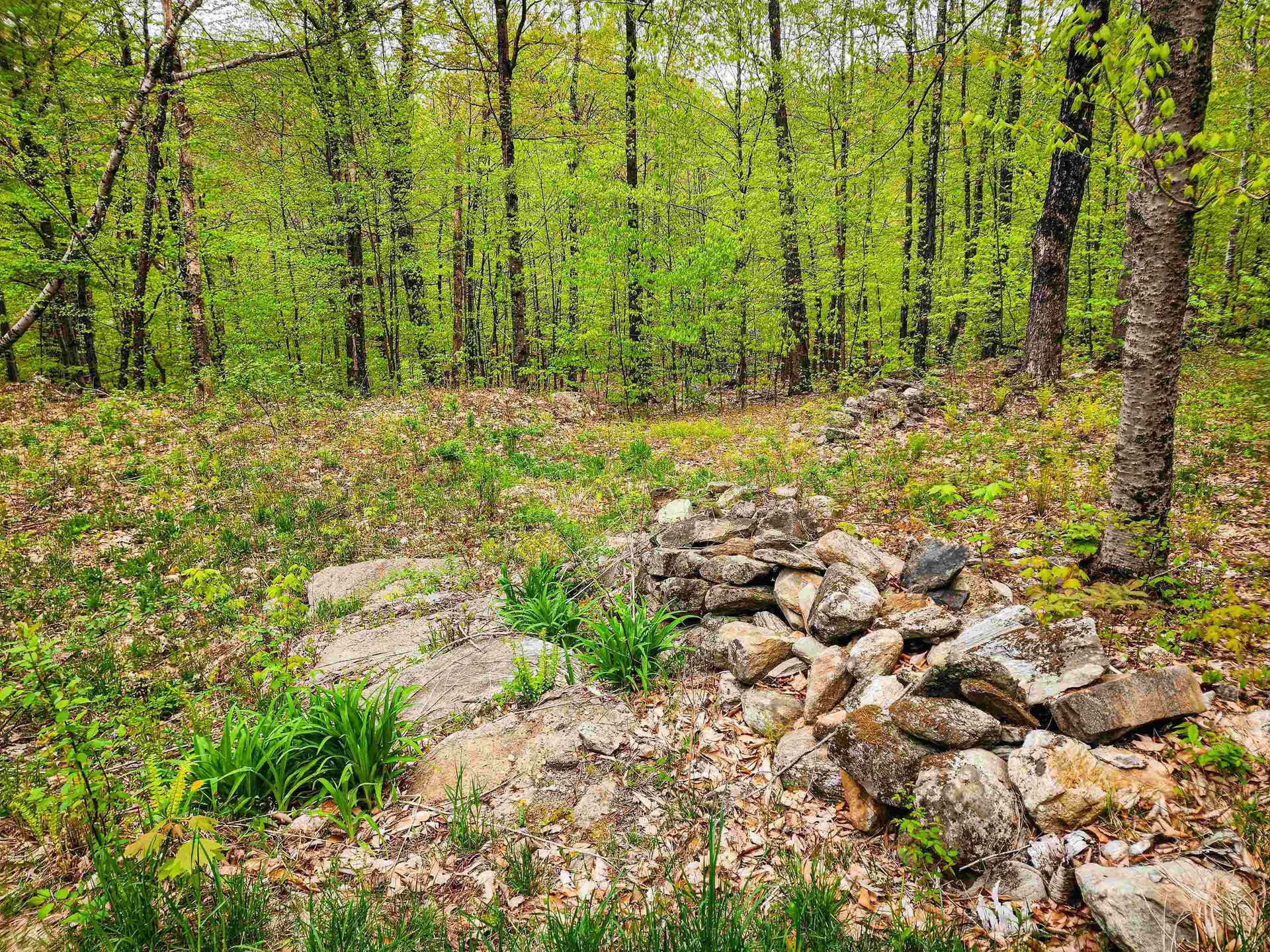 174 Shirley Circle Townshend VT 05353