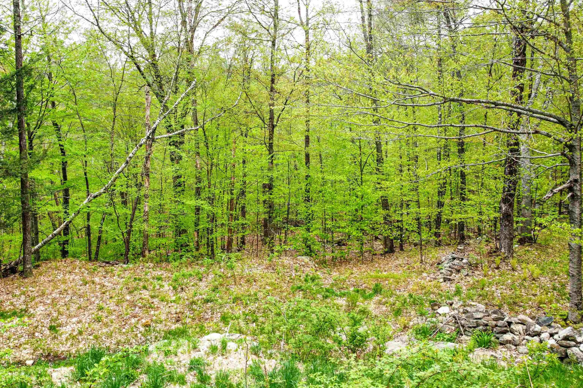 174 Shirley Circle Townshend VT 05353