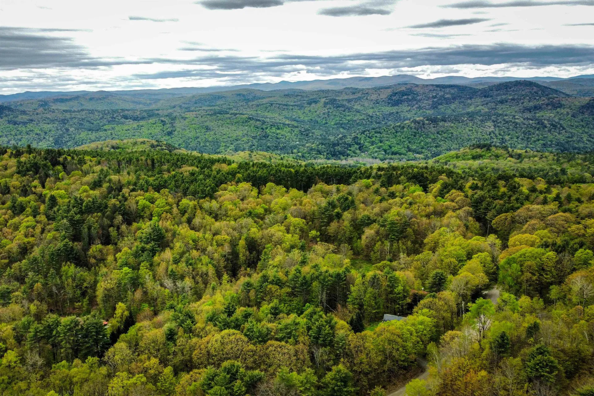 174 Shirley Circle Townshend VT 05353