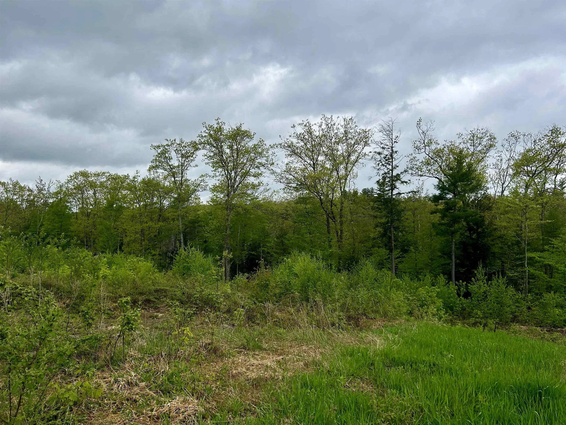 Farm Road Surry NH 03431