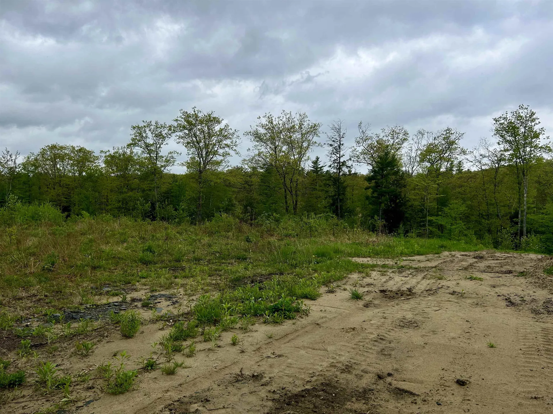 Farm Road Surry NH 03431