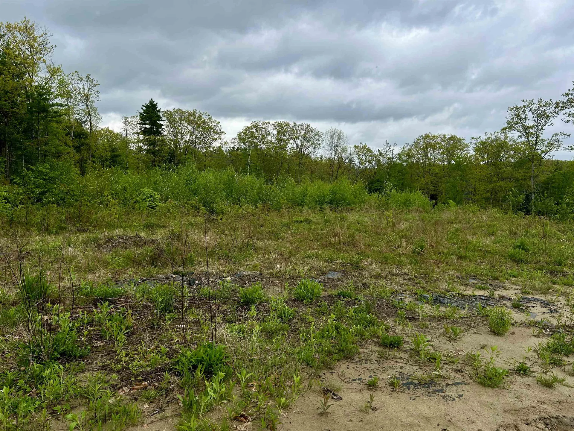 Farm Road Surry NH 03431