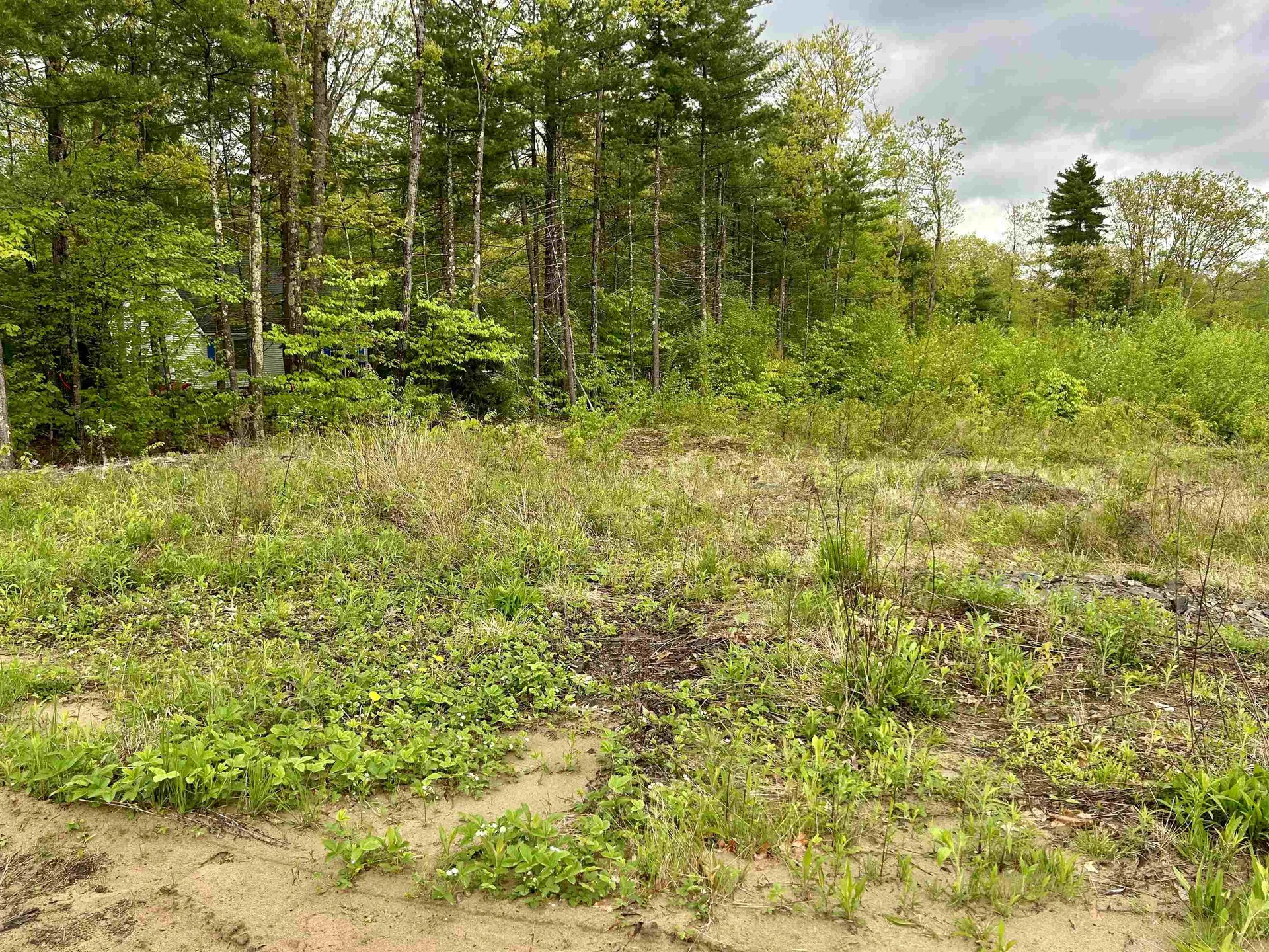 Farm Road Surry NH 03431