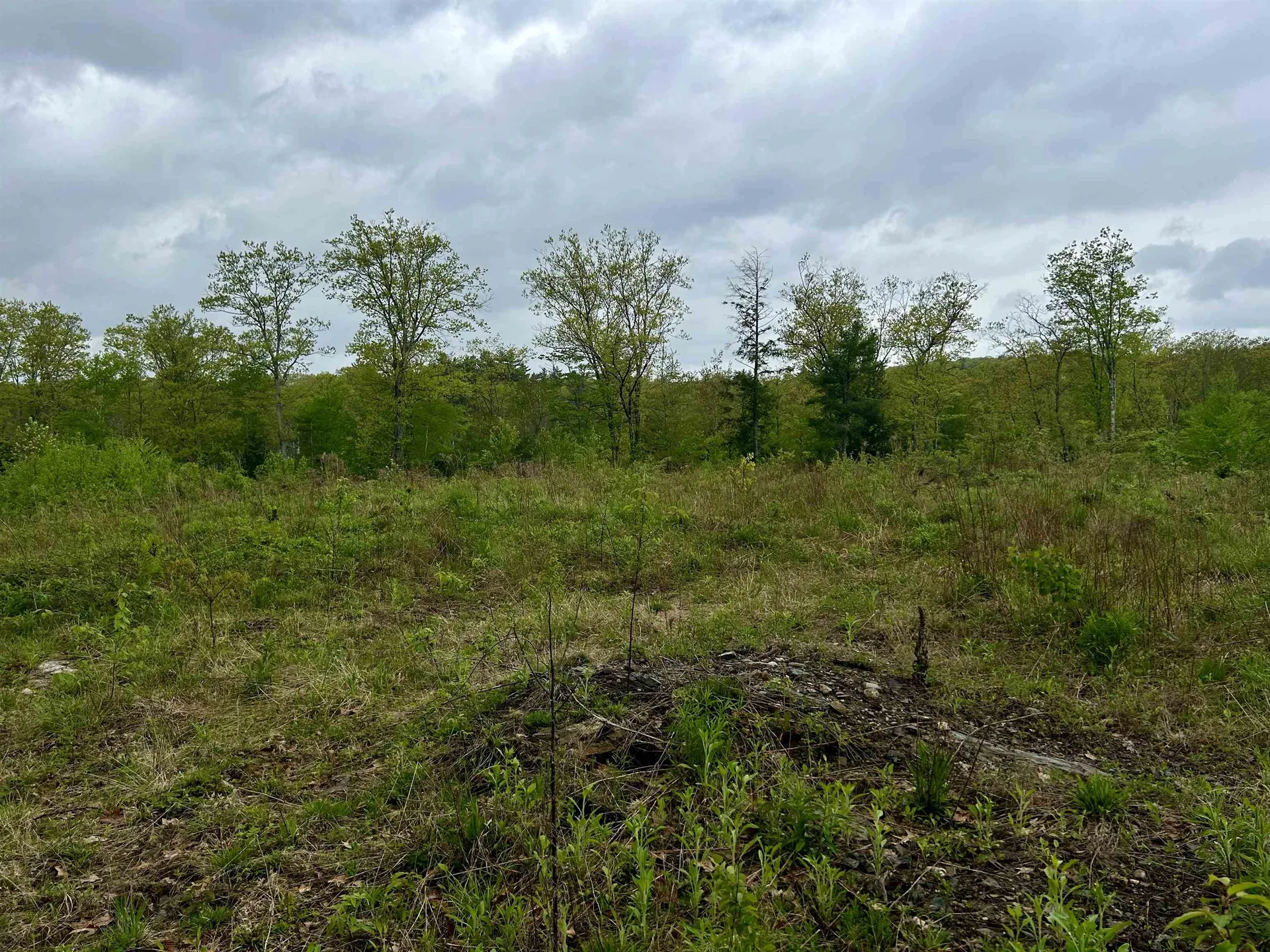 Farm Road Surry NH 03431