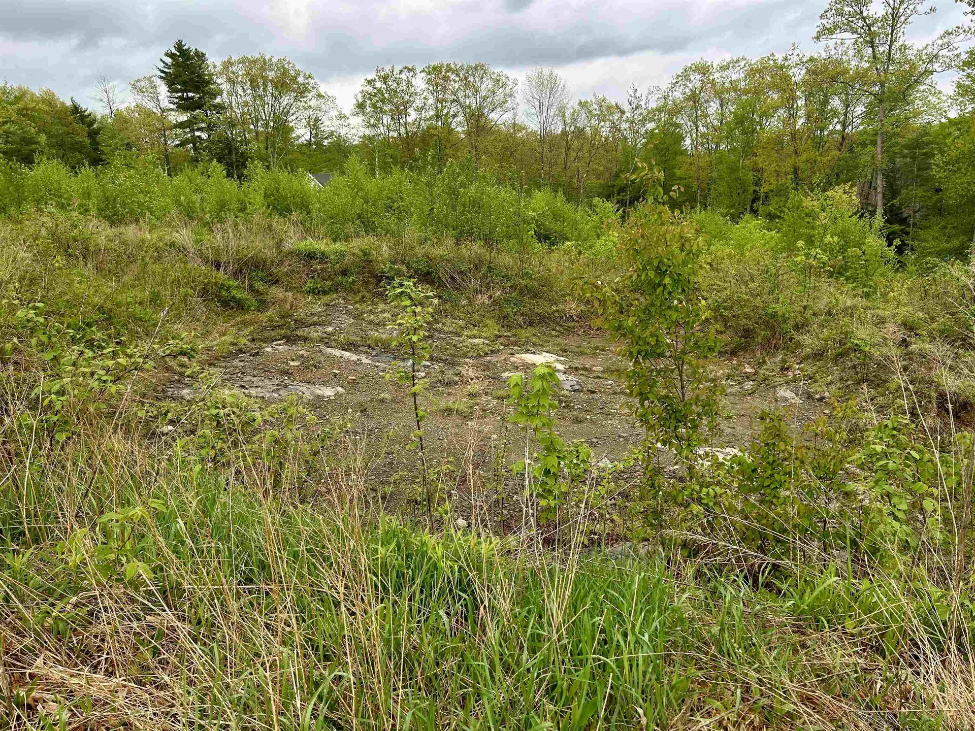 Farm Road Surry NH 03431