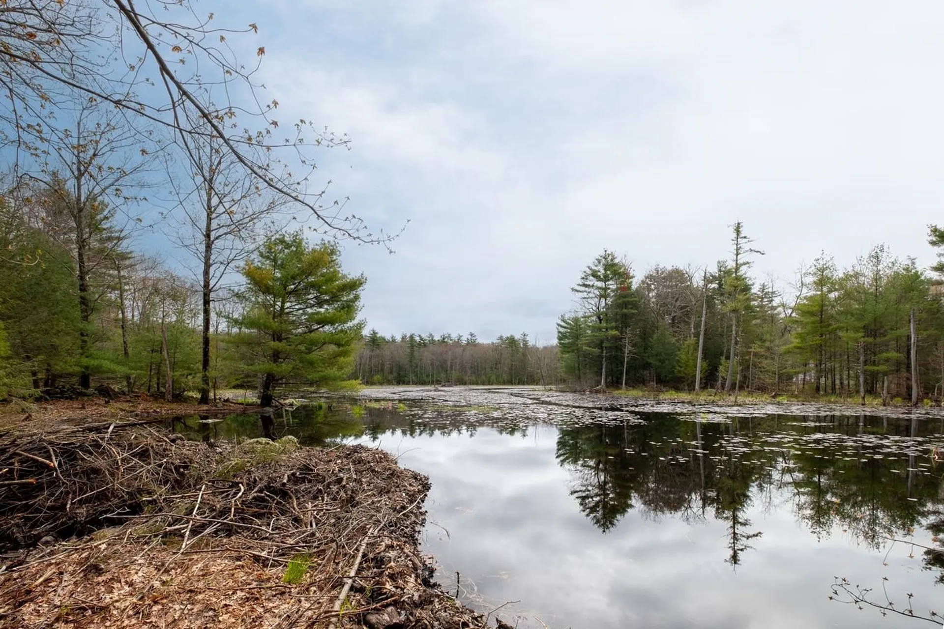 54 Highland Ridge Road Barrington NH 03825