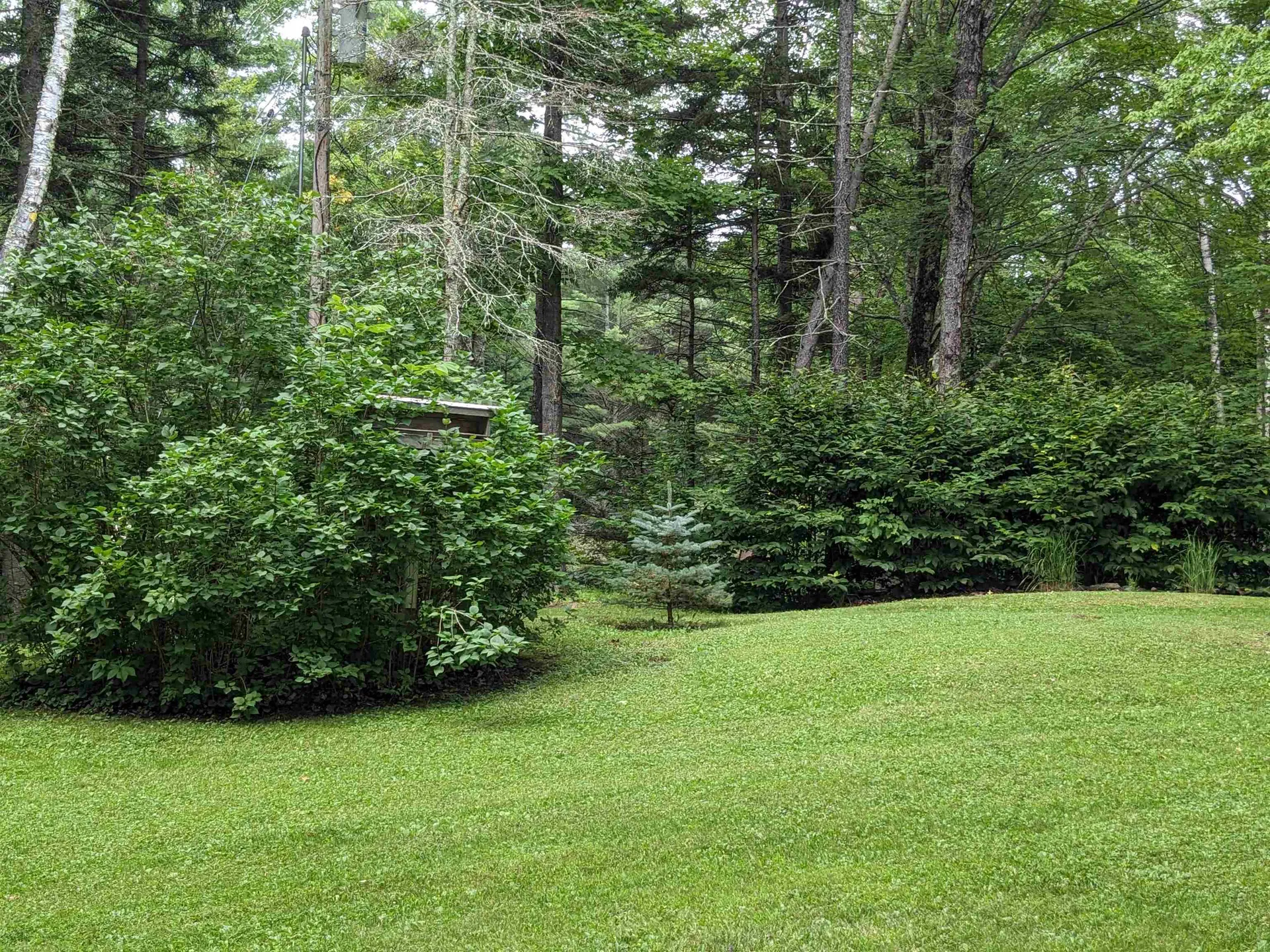 4723 Stagecoach Road Morristown VT 05661
