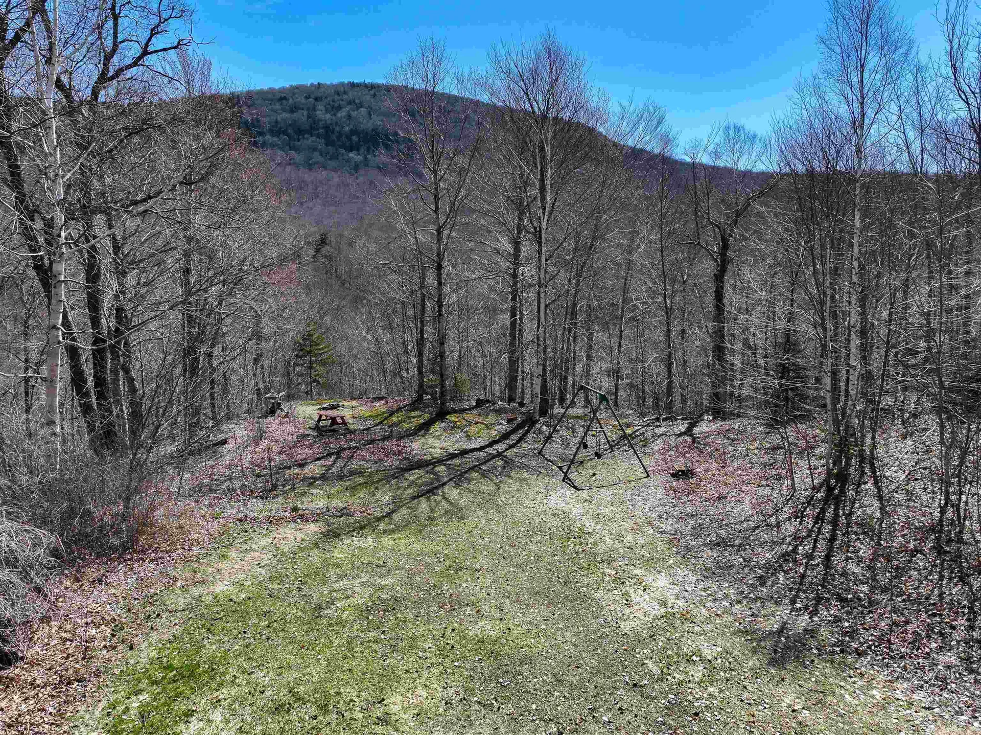 3950 Vt Route 17 Starksboro VT 05487