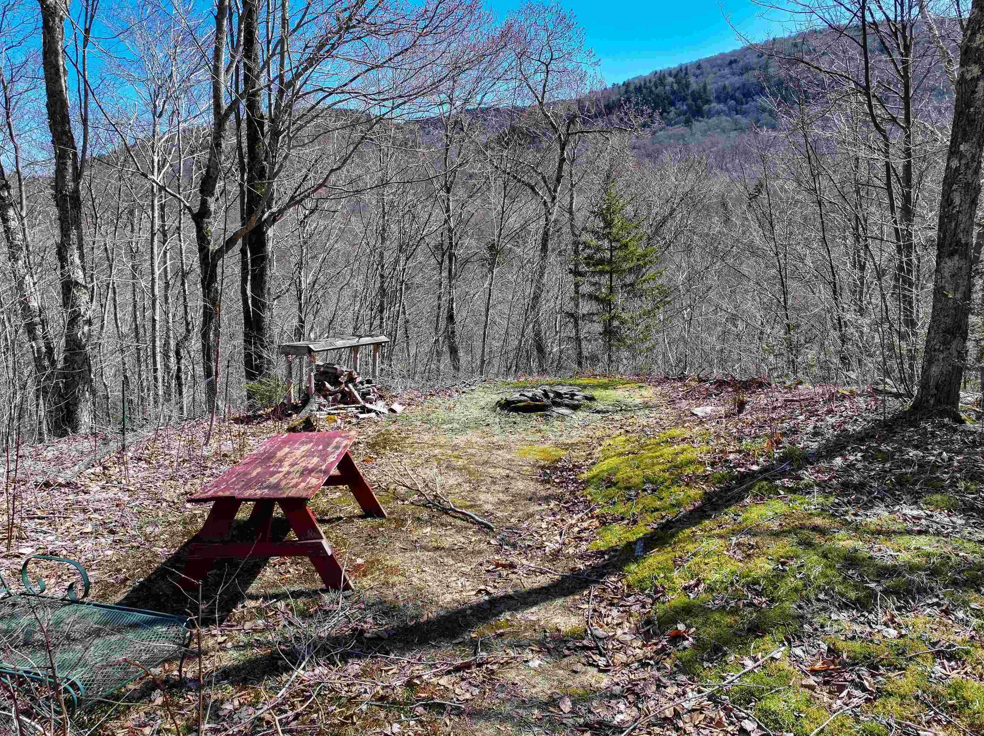 3950 Vt Route 17 Starksboro VT 05487