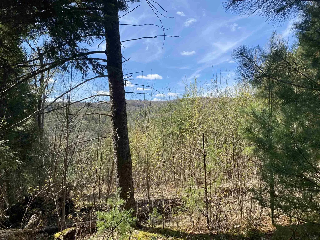 0 Brookside Drive Chester VT 05143