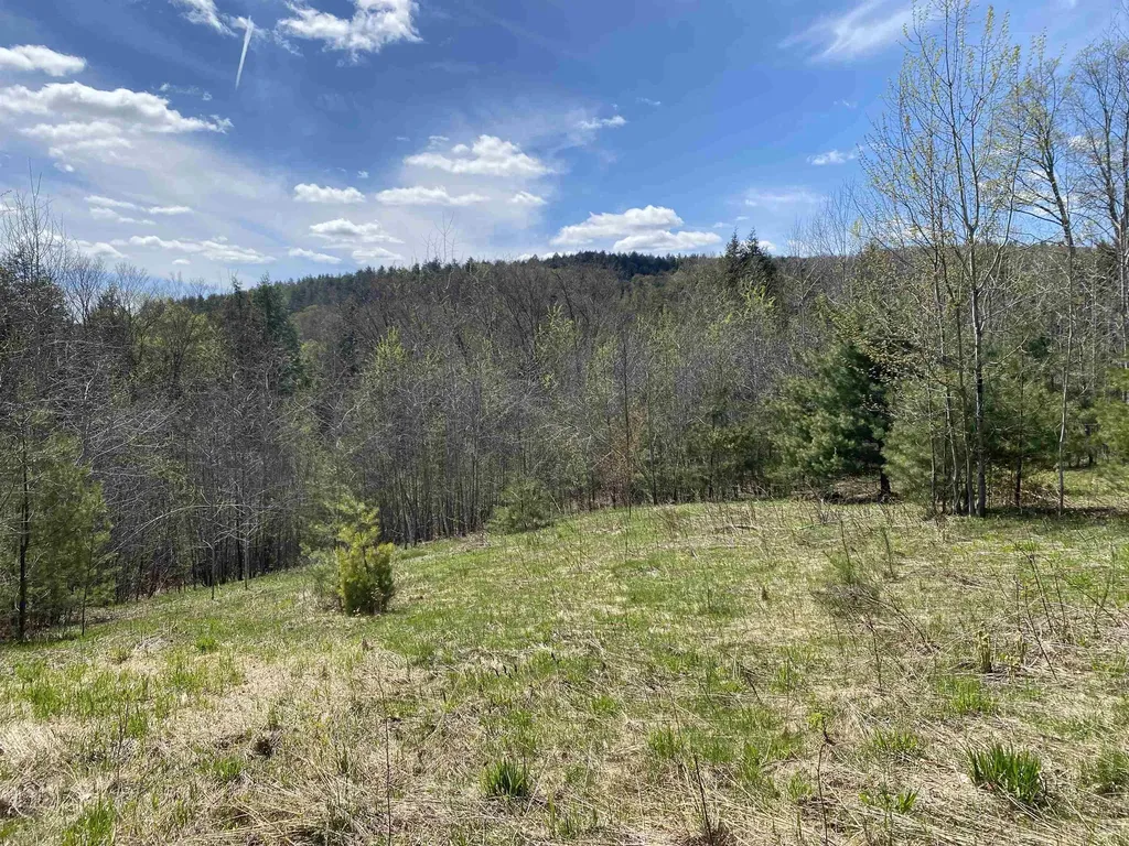 0 Brookside Drive Chester VT 05143