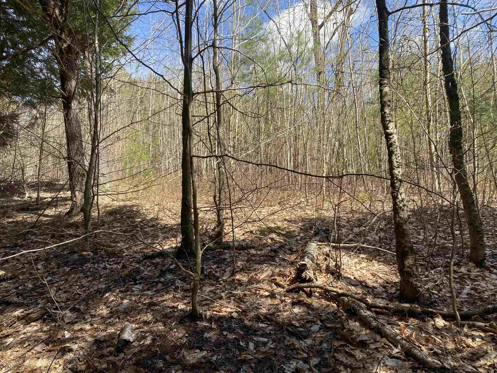 0 Brookside Drive Chester VT 05143