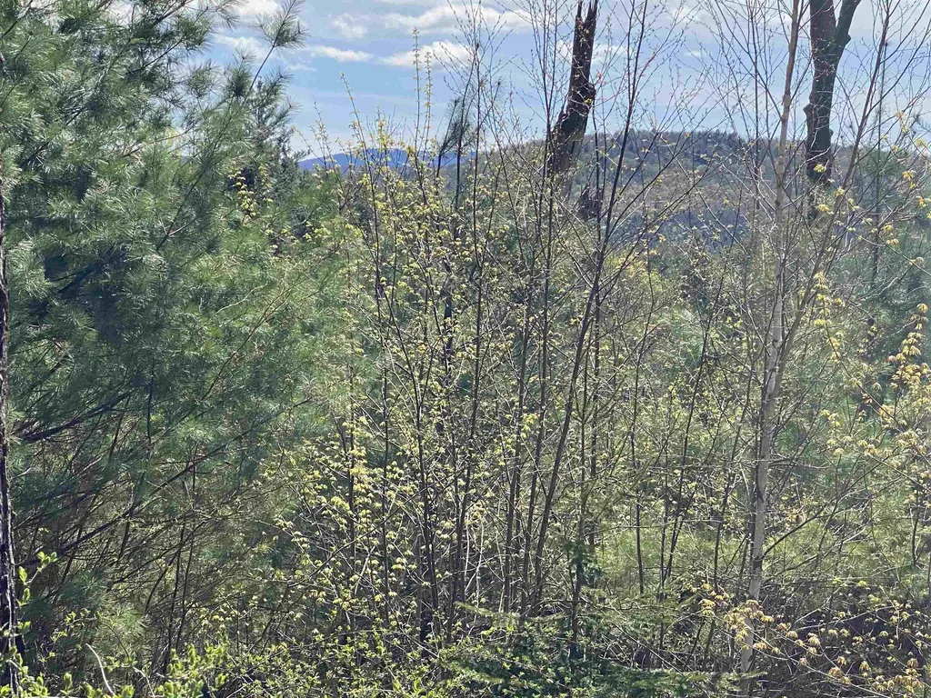 0 Brookside Drive Chester VT 05143