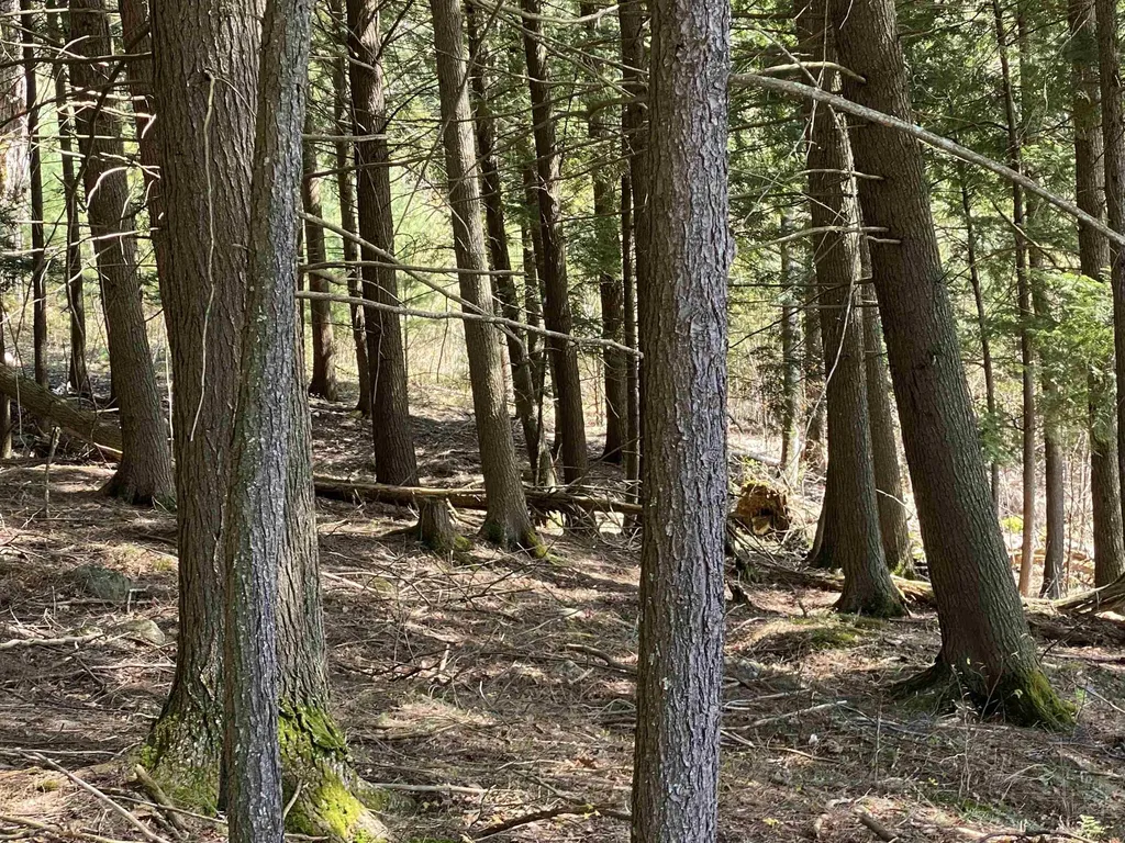 0 Brookside Drive Chester VT 05143