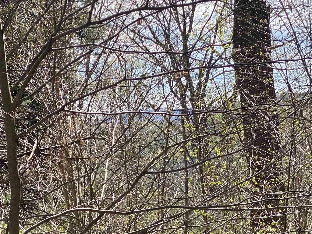 0 Brookside Drive Chester VT 05143