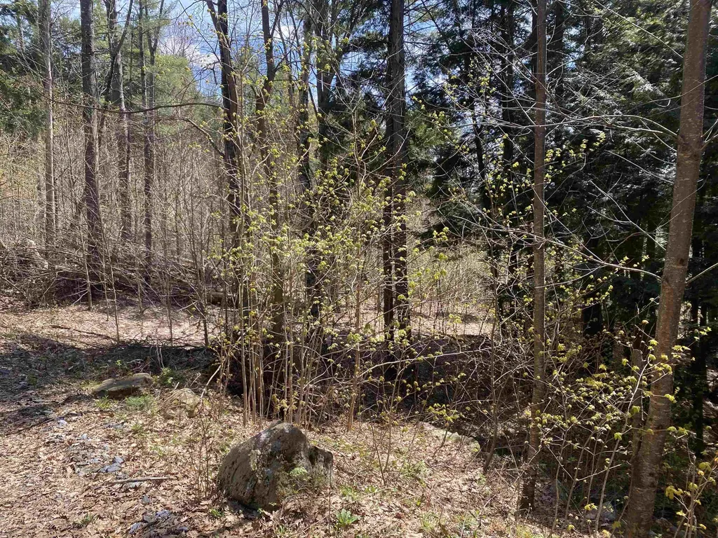 0 Brookside Drive Chester VT 05143