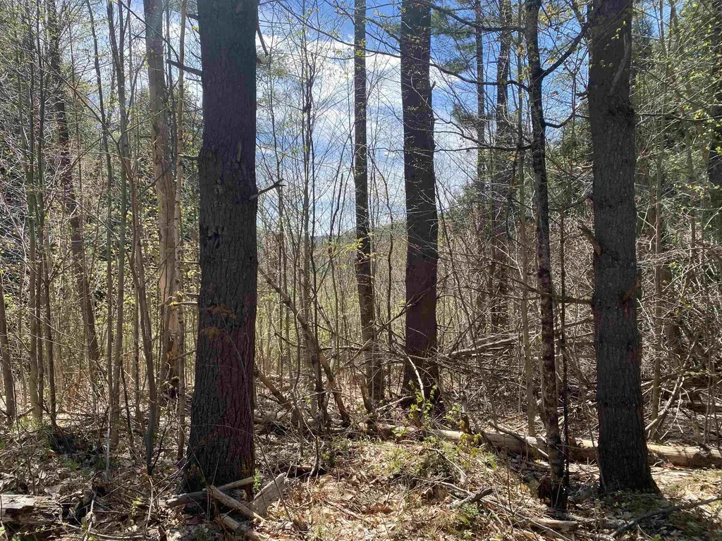 0 Brookside Drive Chester VT 05143