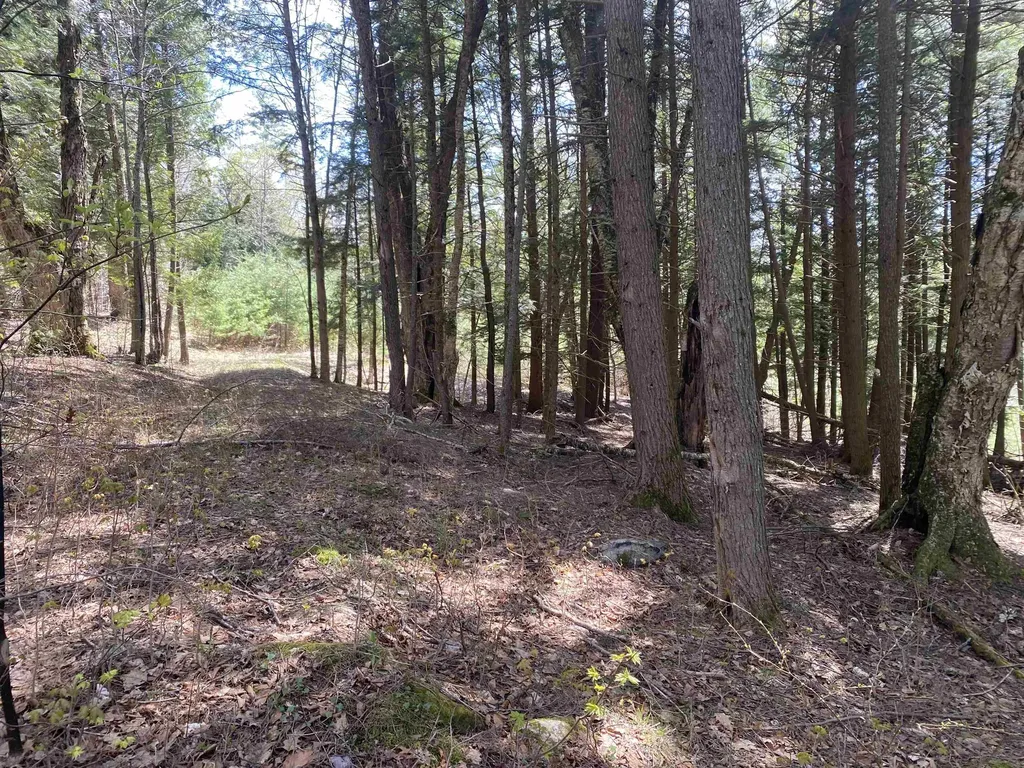 0 Brookside Drive Chester VT 05143