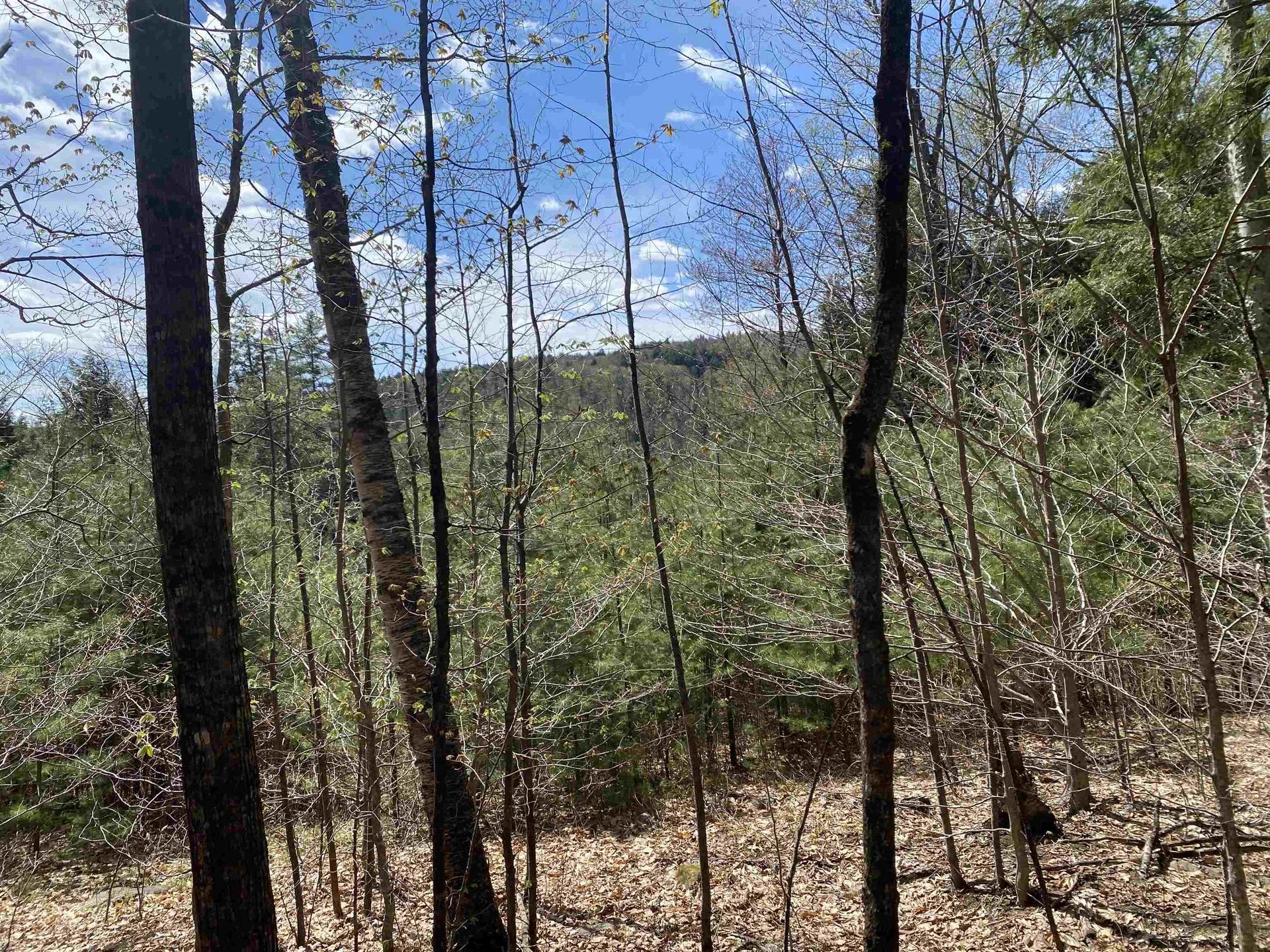 0 Brookside Drive Chester VT 05143