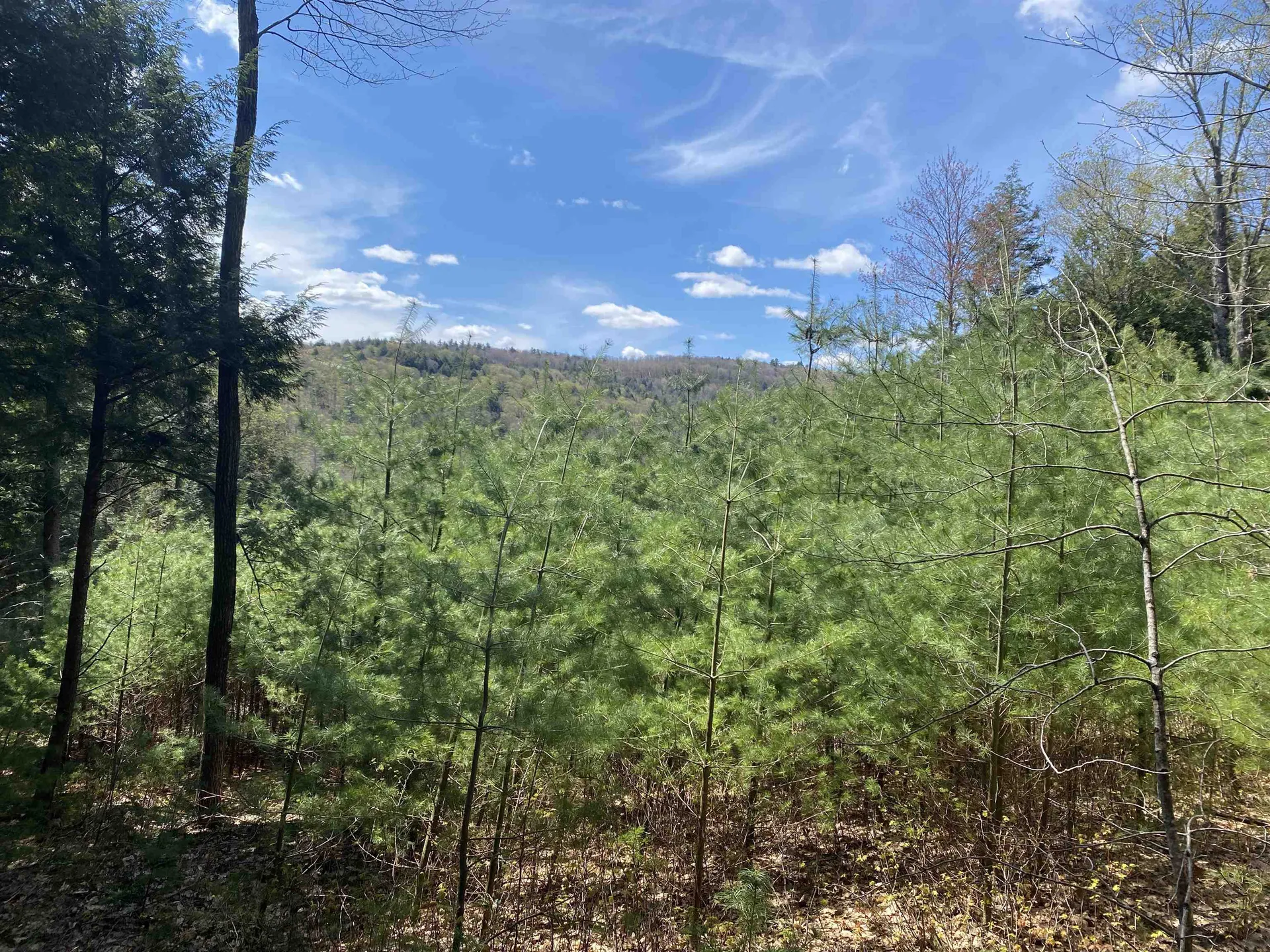 0 Brookside Drive Chester VT 05143