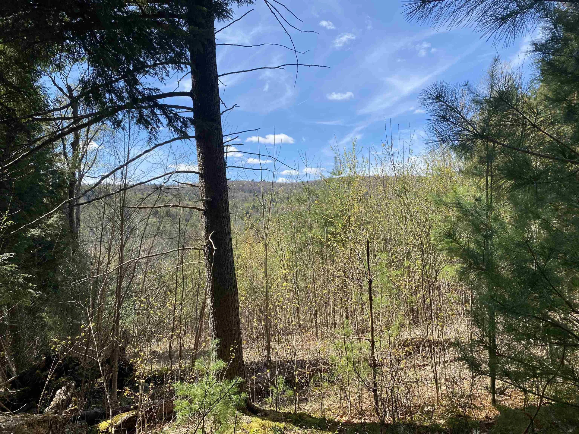 0 Brookside Drive Chester VT 05143