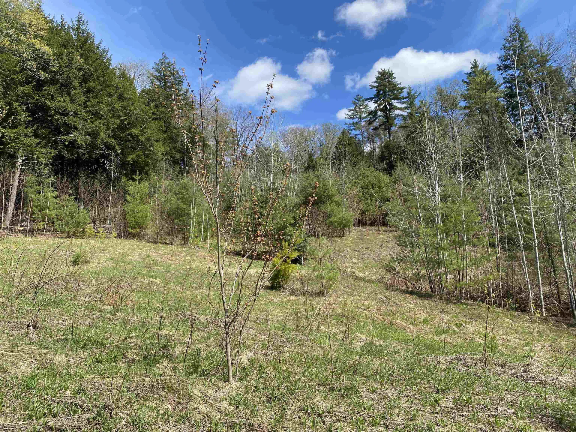 0 Brookside Drive Chester VT 05143