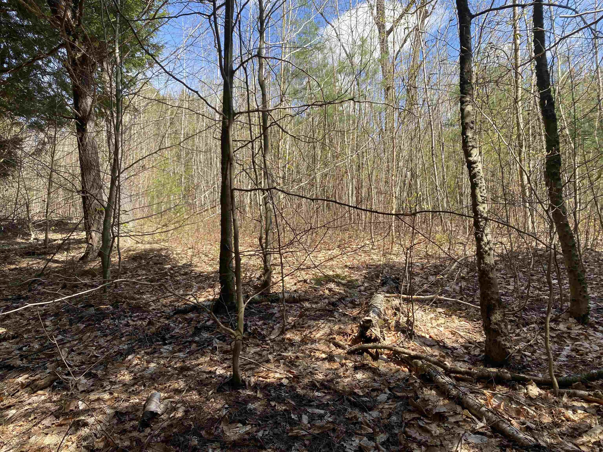 0 Brookside Drive Chester VT 05143