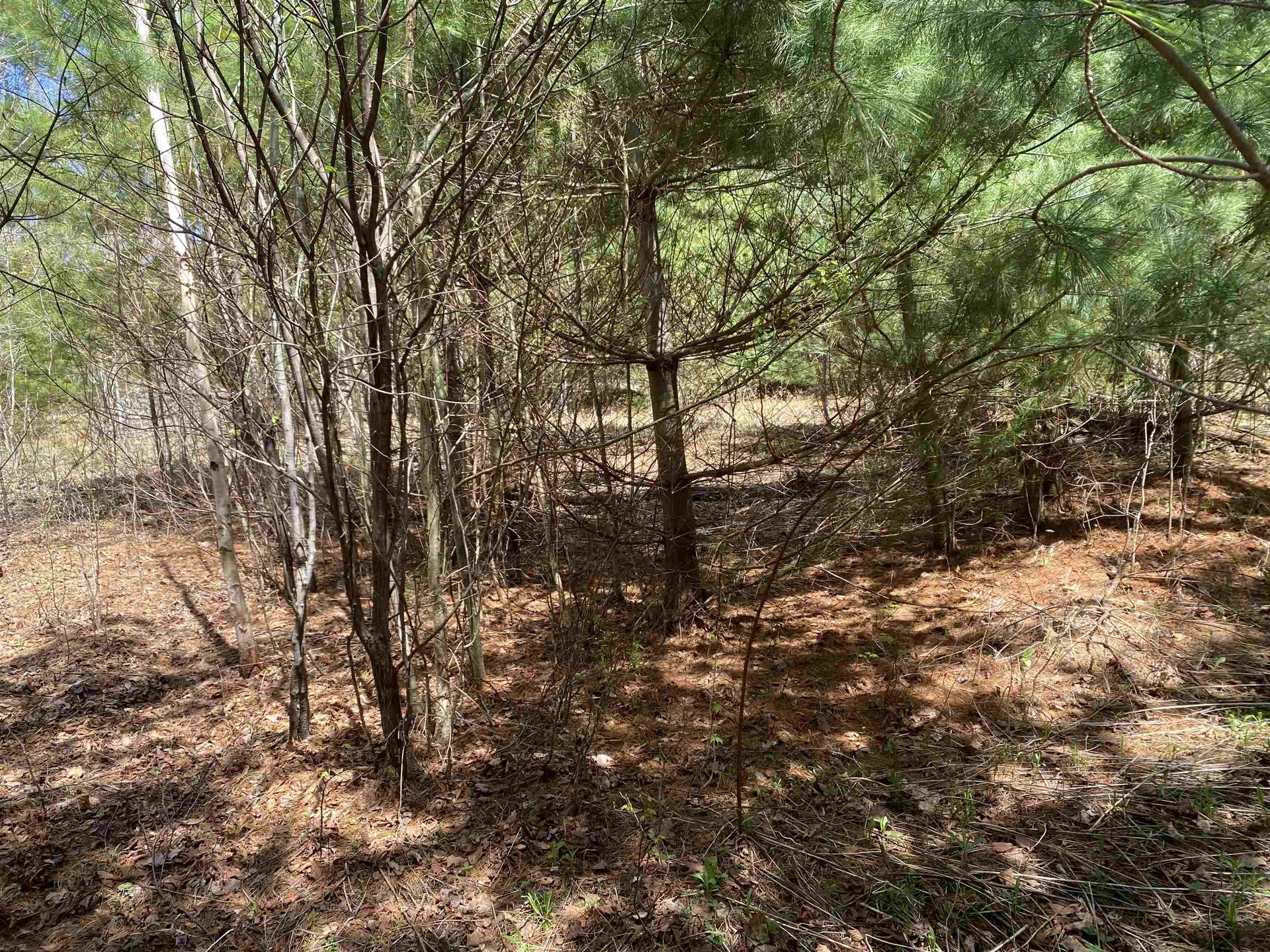 0 Brookside Drive Chester VT 05143