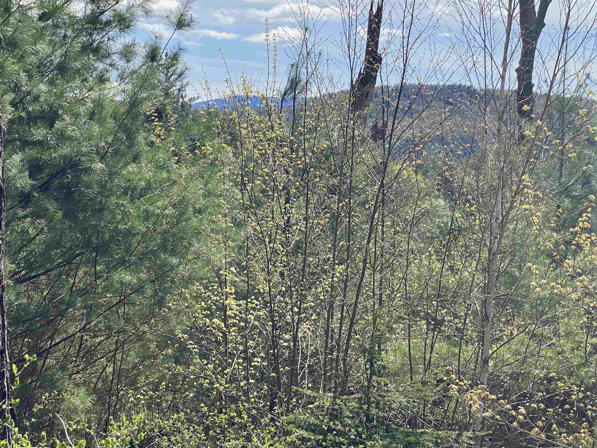 0 Brookside Drive Chester VT 05143