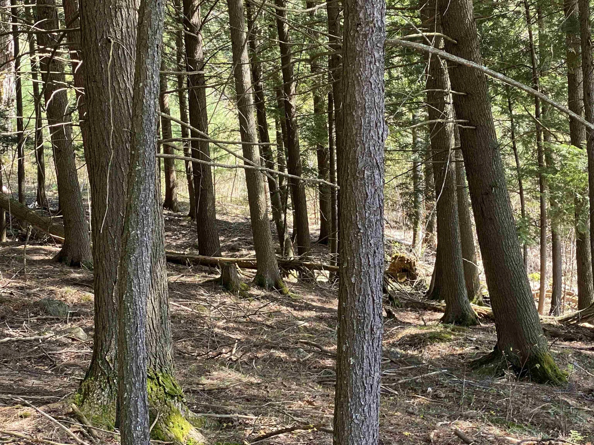 0 Brookside Drive Chester VT 05143