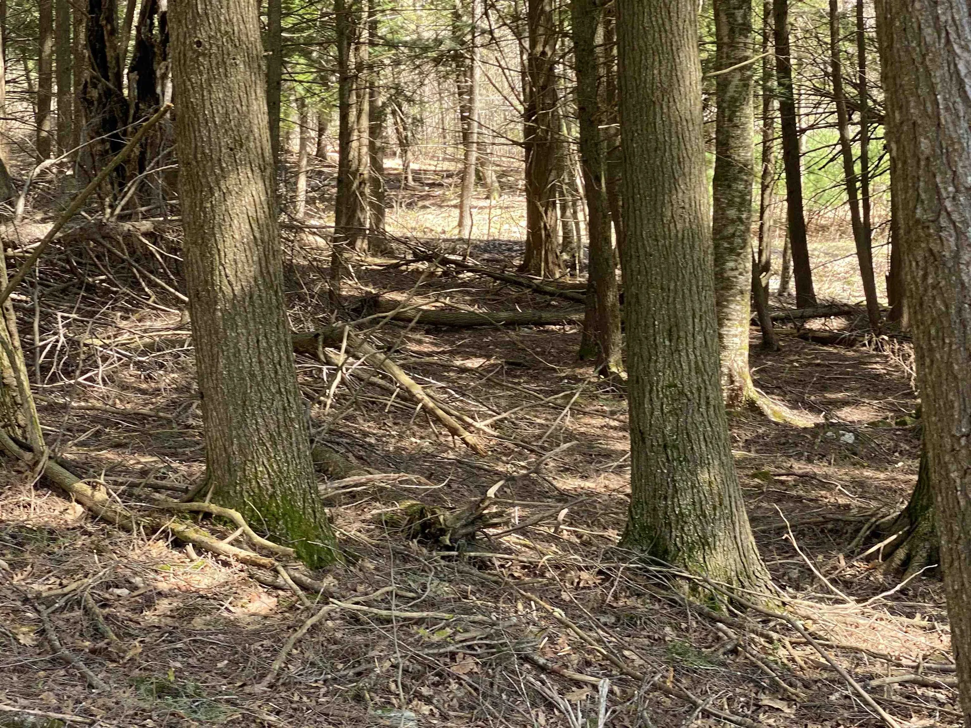 0 Brookside Drive Chester VT 05143