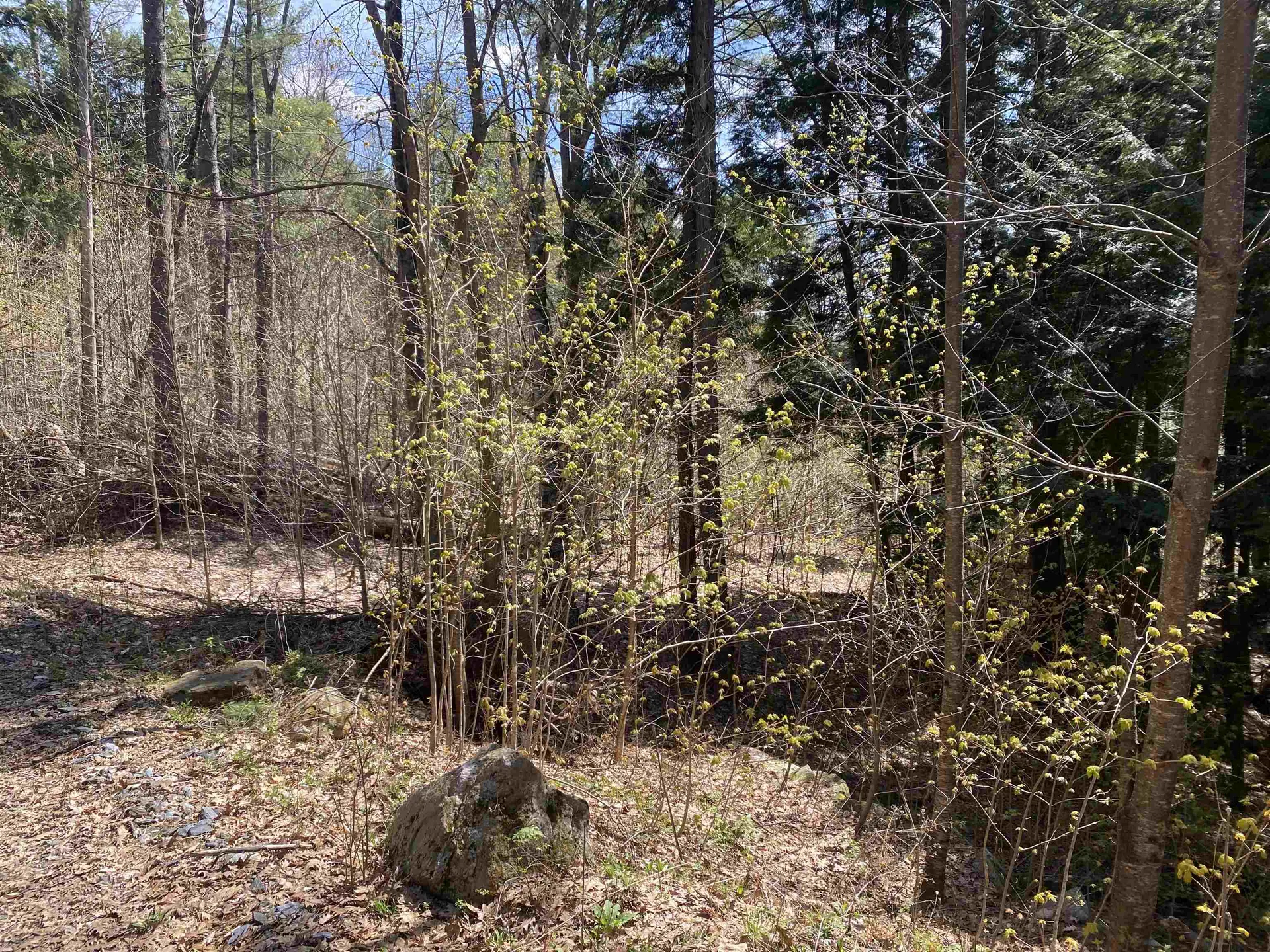 0 Brookside Drive Chester VT 05143