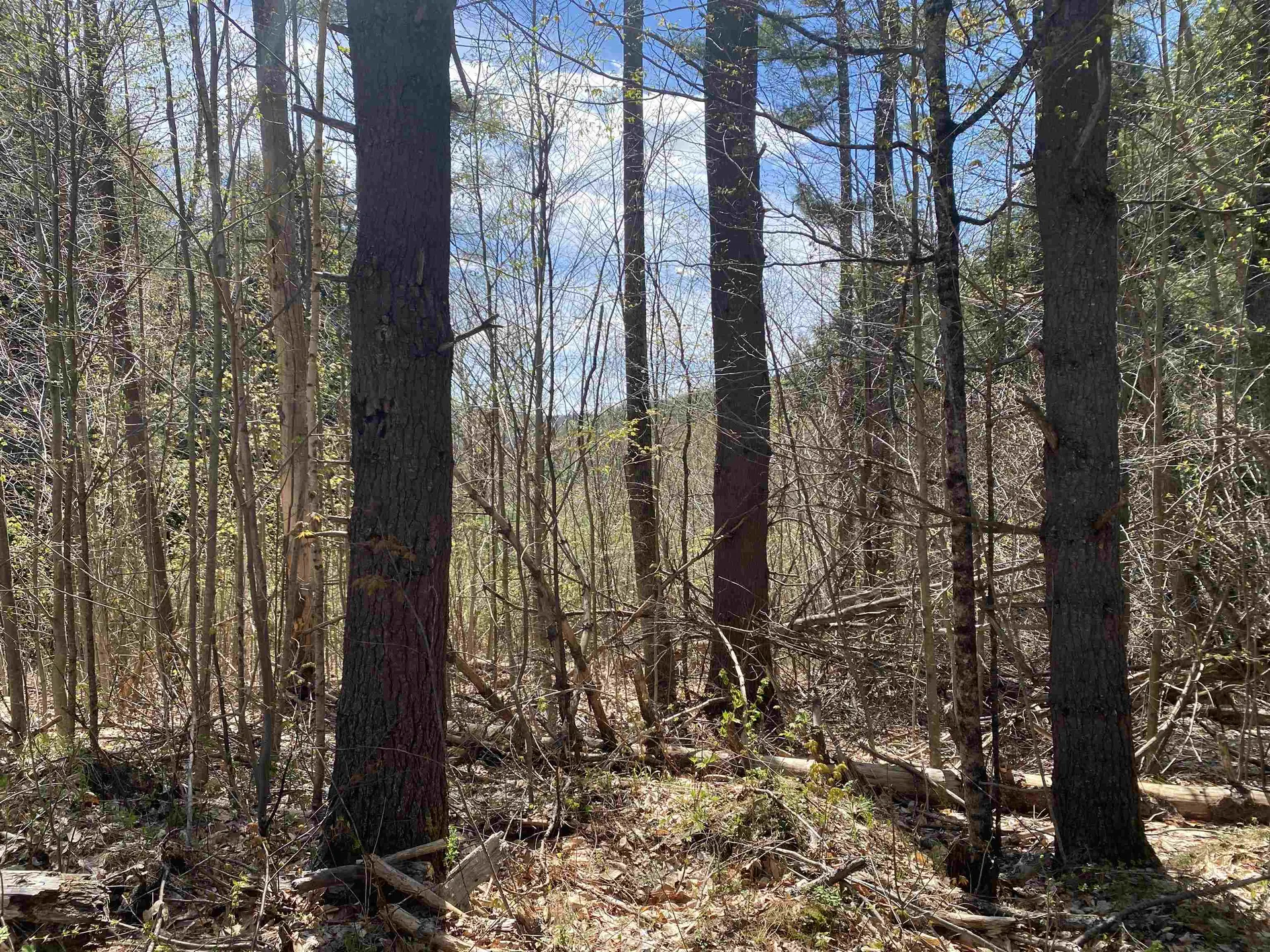 0 Brookside Drive Chester VT 05143