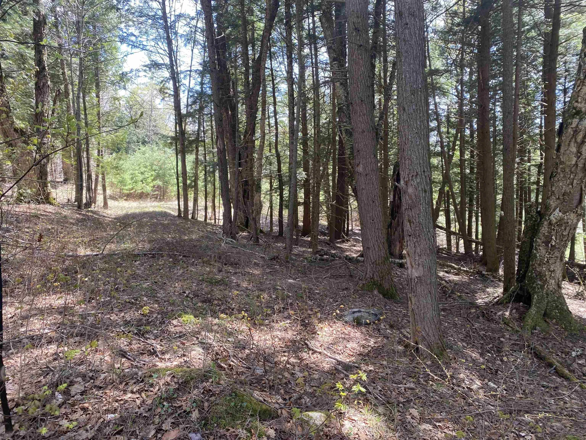 0 Brookside Drive Chester VT 05143