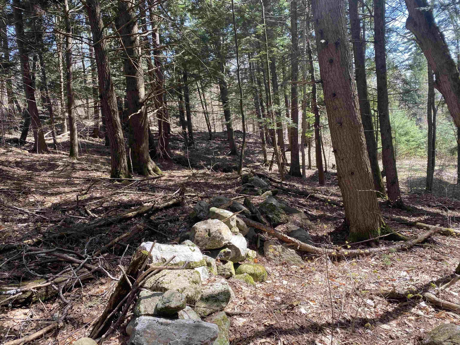 0 Brookside Drive Chester VT 05143