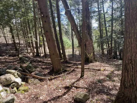 0 Brookside Drive Chester VT 05143