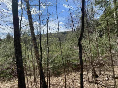 0 Brookside Drive Chester VT 05143