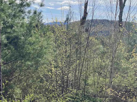 0 Brookside Drive Chester VT 05143