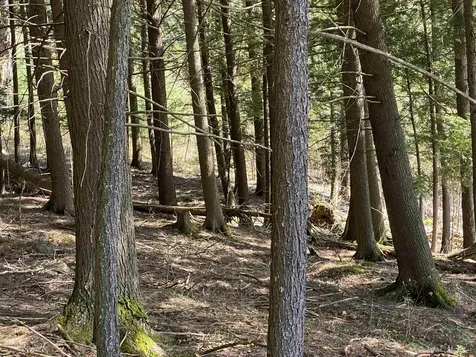 0 Brookside Drive Chester VT 05143