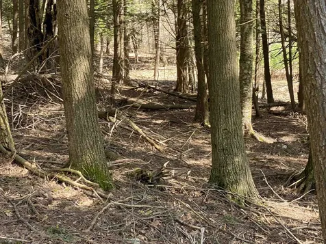 0 Brookside Drive Chester VT 05143