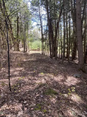 0 Brookside Drive Chester VT 05143