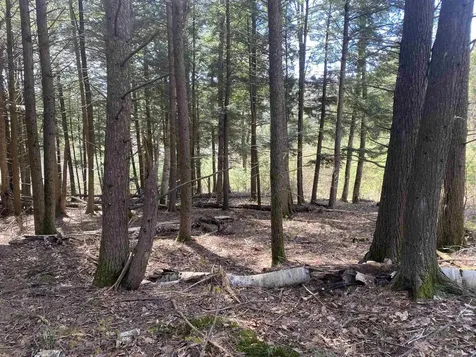 0 Brookside Drive Chester VT 05143