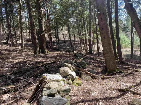 0 Brookside Drive Chester VT 05143