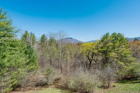 243 Kestrel Court Manchester VT 05254
