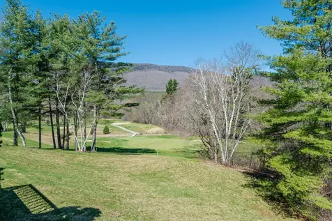 243 Kestrel Court Manchester VT 05254