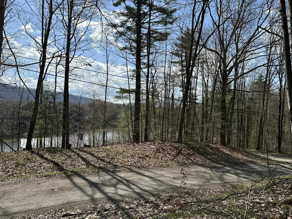 0 Fern Lake Road Leicester VT 05733